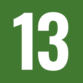 13